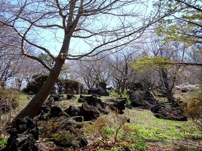 c0204725_00551436.jpg