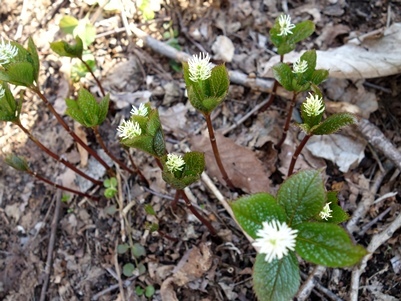 c0204725_01051590.jpg