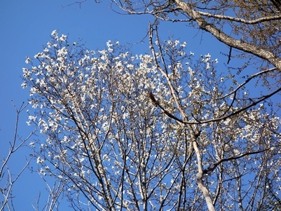 c0204725_01055561.jpg