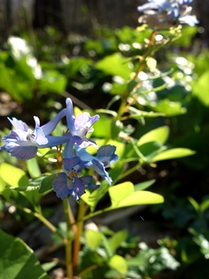 c0204725_01060559.jpg