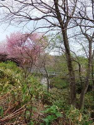 c0204725_20525332.jpg