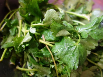 c0204725_21085765.jpg