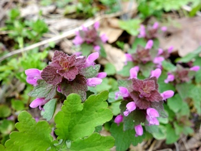 c0204725_21292421.jpg