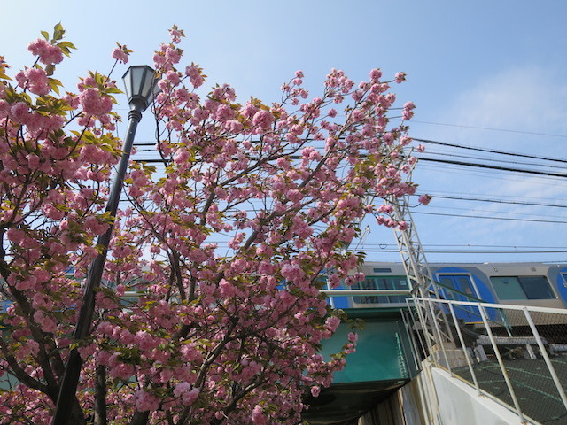 f0008729_10163346.jpg