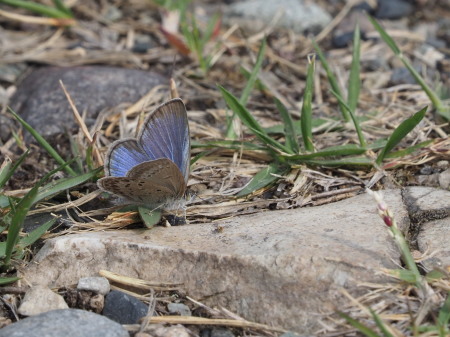 c0353632_15073767.jpg