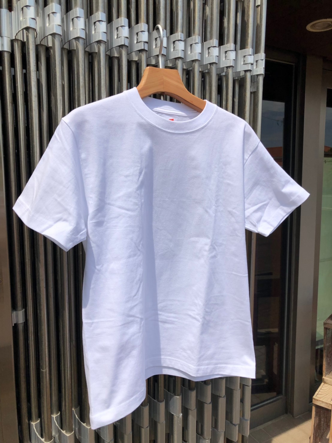 10/10 GW (魅力の価格帯!ビーフィ―TEE)_b0139233_14385236.jpg