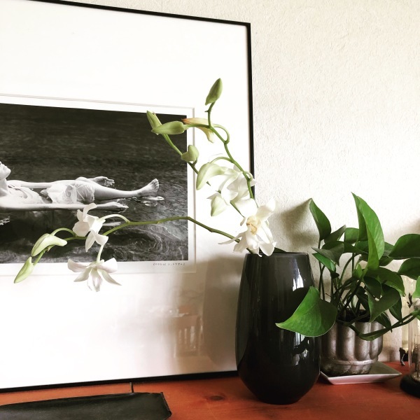 GW最終日_b0072234_11414772.jpeg