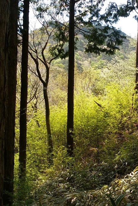 c0038434_15532263.jpg