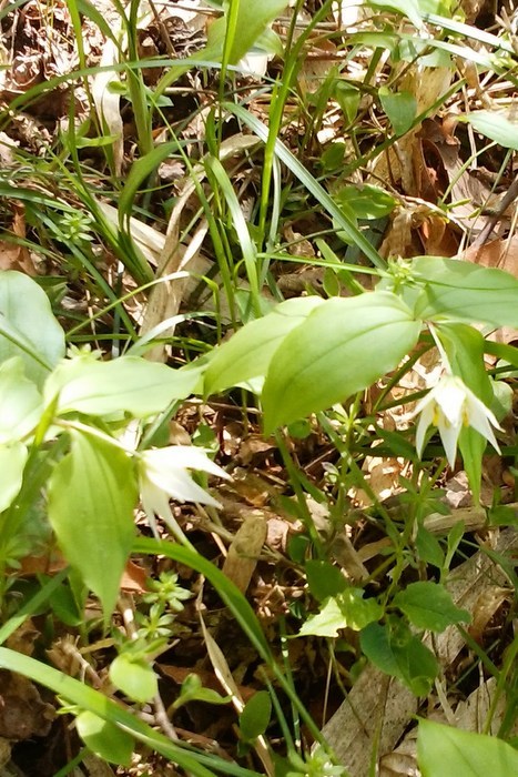 c0038434_15533355.jpg