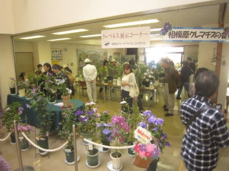 c0025140_21505533.jpg