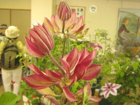 c0025140_22051877.jpg