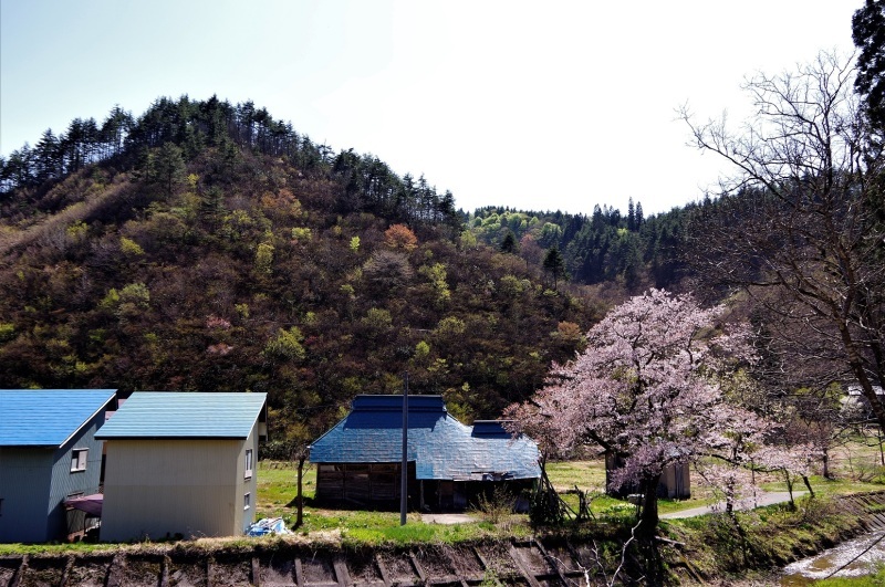 d0347140_14561300.jpg