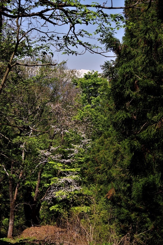 d0347140_16561661.jpg
