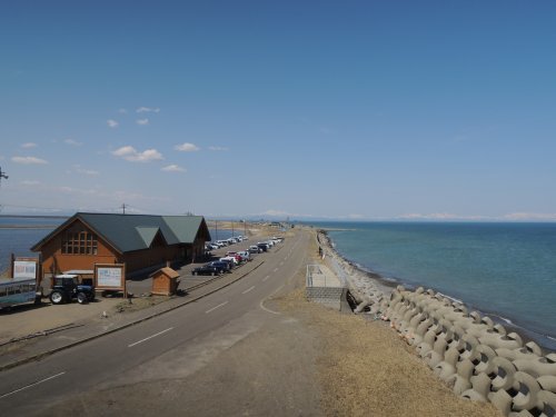 d0142944_19591329.jpg