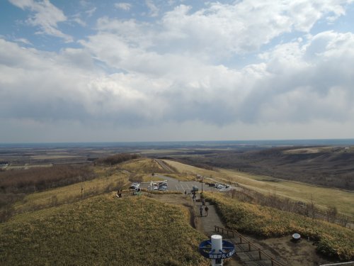 d0142944_19591337.jpg