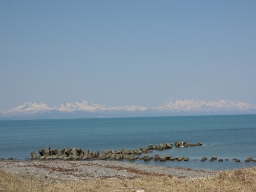 d0142944_19591342.jpg