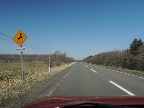 d0142944_19591391.jpg