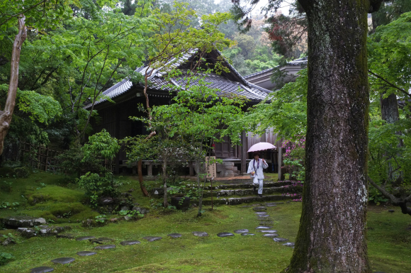 牧野植物園・竹林寺_a0166150_11280003.jpg