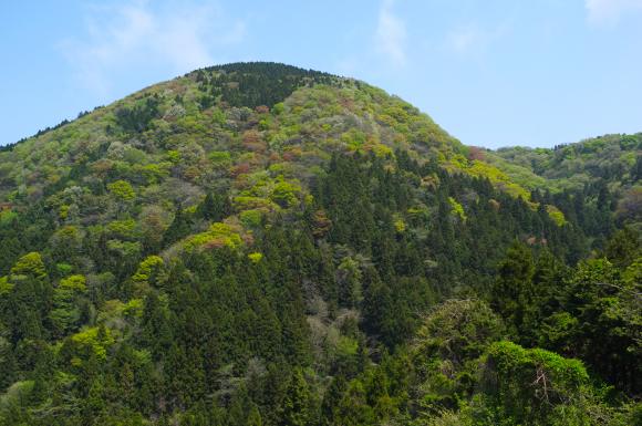 a0166150_12570907.jpg