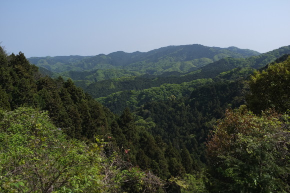 a0166150_12591774.jpg
