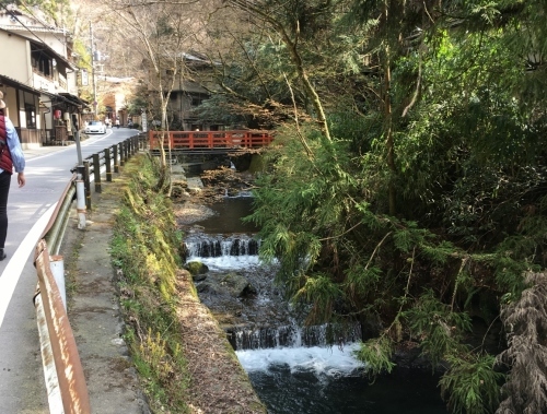 京都の旅\'19Ⅲ 京都桜旅その3_e0326953_22561040.jpg