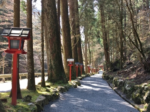 京都の旅\'19Ⅲ 京都桜旅その3_e0326953_23151559.jpg