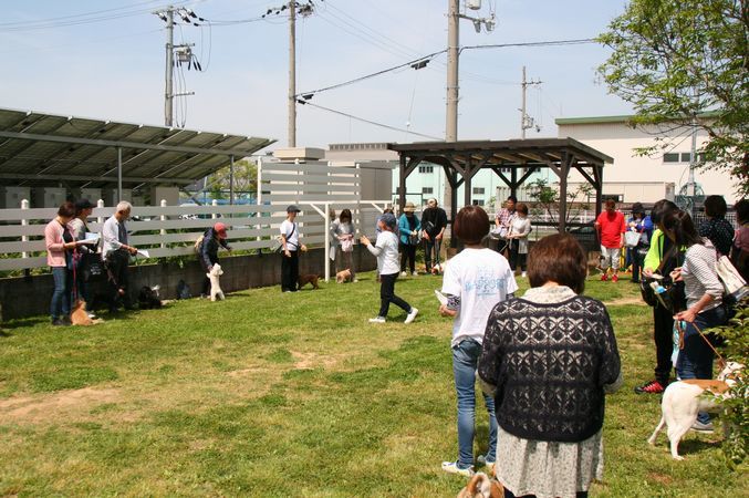 一日しつけ方教室無事終了_e0364854_16512478.jpg
