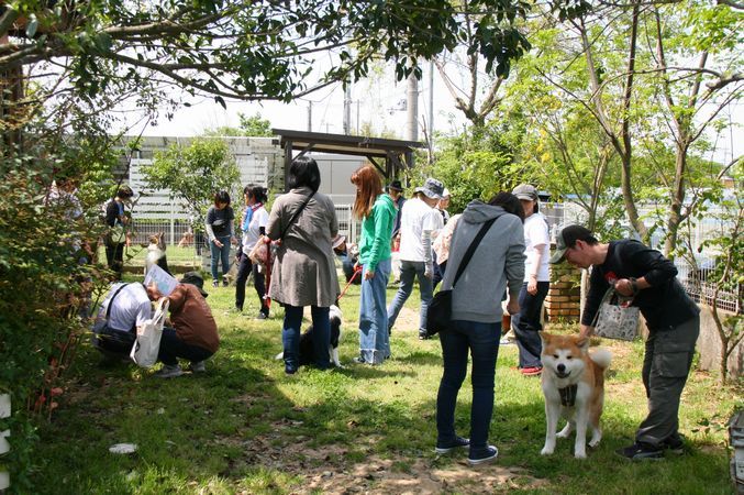 一日しつけ方教室無事終了_e0364854_17062187.jpg