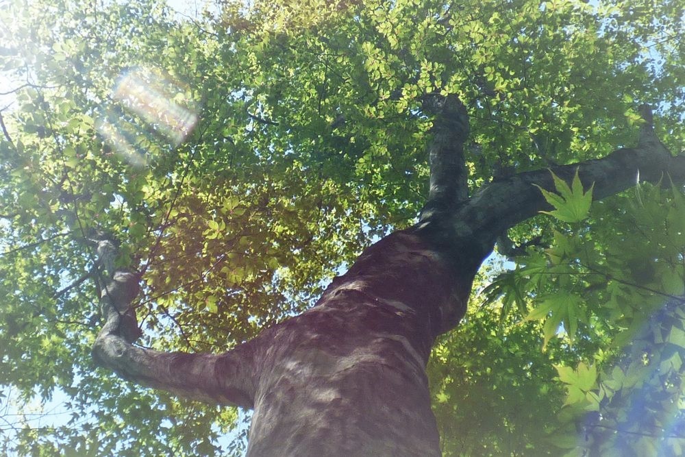 c0294658_21492649.jpg