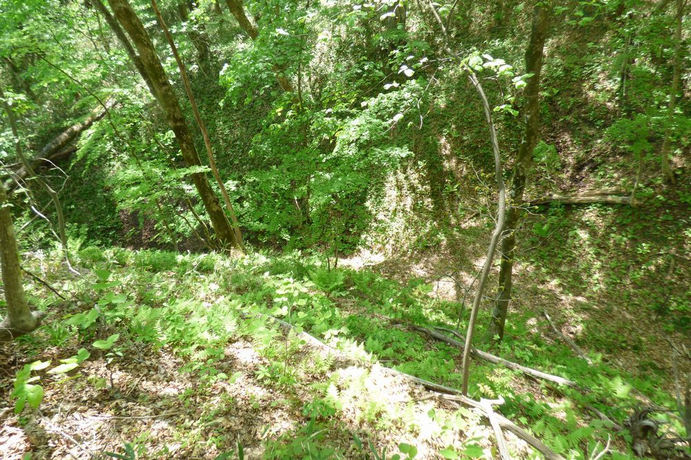 c0294658_22481949.jpg
