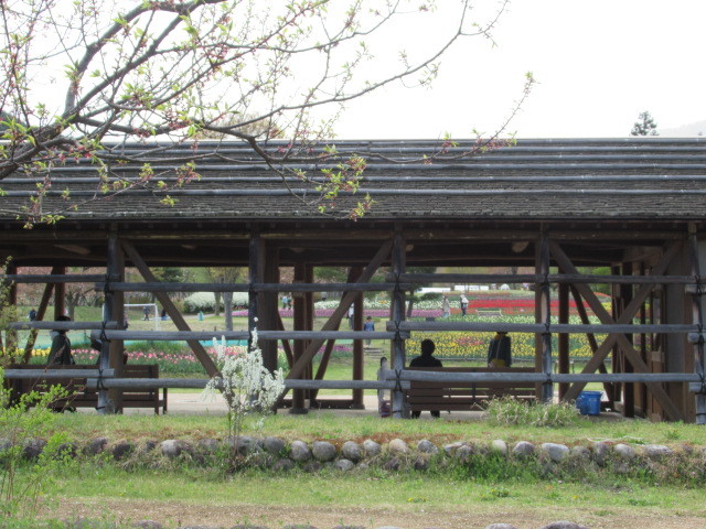 f0236260_15164243.jpg