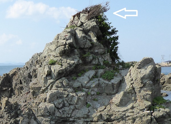 c0222861_2064114.jpg