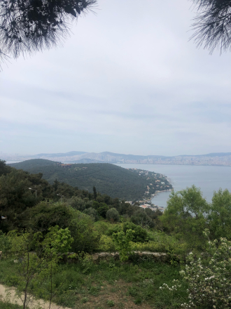d0183861_03140667.jpg