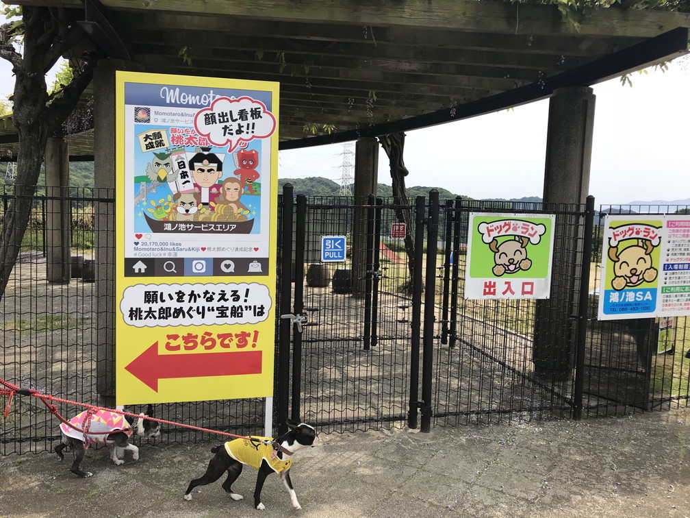 おち仁淀川キャンプフィールド最終日_b0184877_22051301.jpg