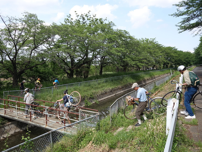 見沼周遊とラテックス効果_e0406281_15491563.jpg