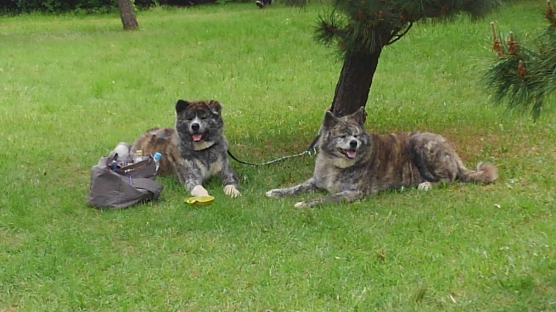 GW2_e0401283_07315108.jpg
