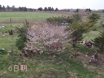 d0017084_973124.jpg