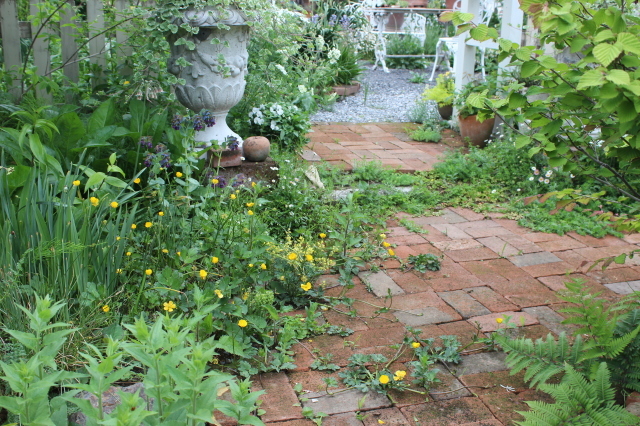 d0154685_20005856.jpg