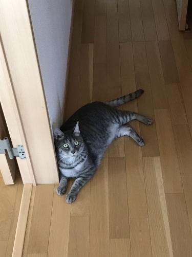 c0340786_12460406.jpeg