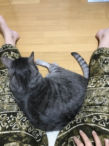 c0340786_12513823.jpeg