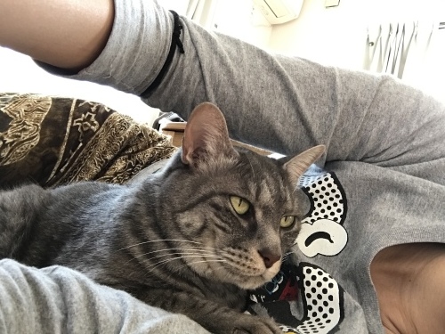 c0340786_12523442.jpeg