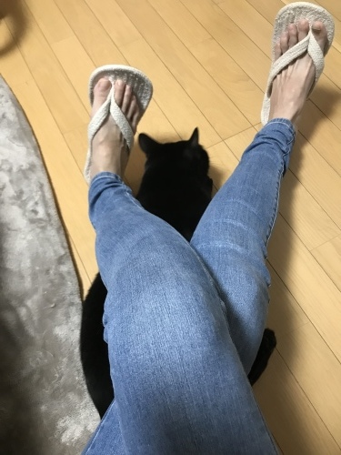 c0340786_13194420.jpeg