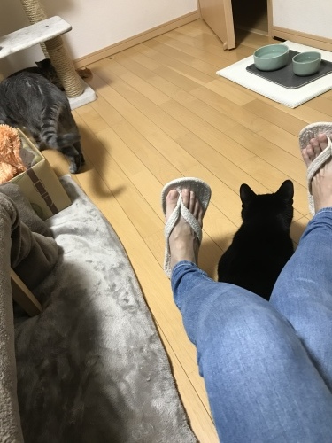 c0340786_13195998.jpeg