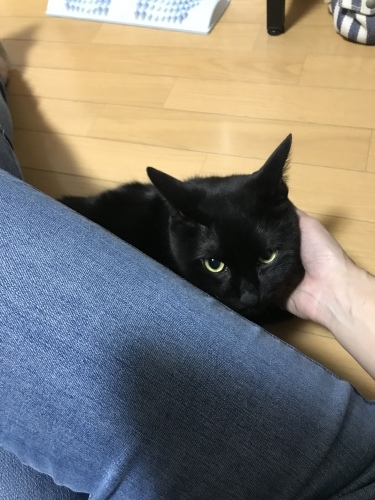 c0340786_13204151.jpeg