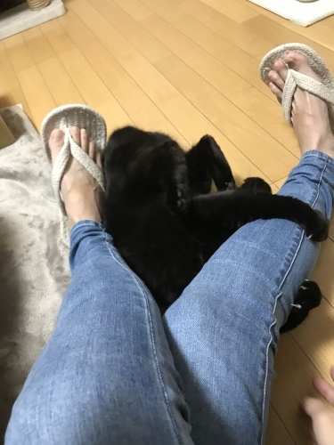 c0340786_13205751.jpeg