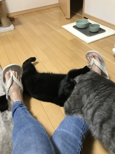 c0340786_13211648.jpeg