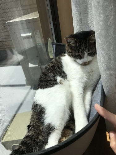 c0340786_13413987.jpeg