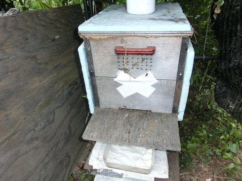 e0159192_16412680.jpg