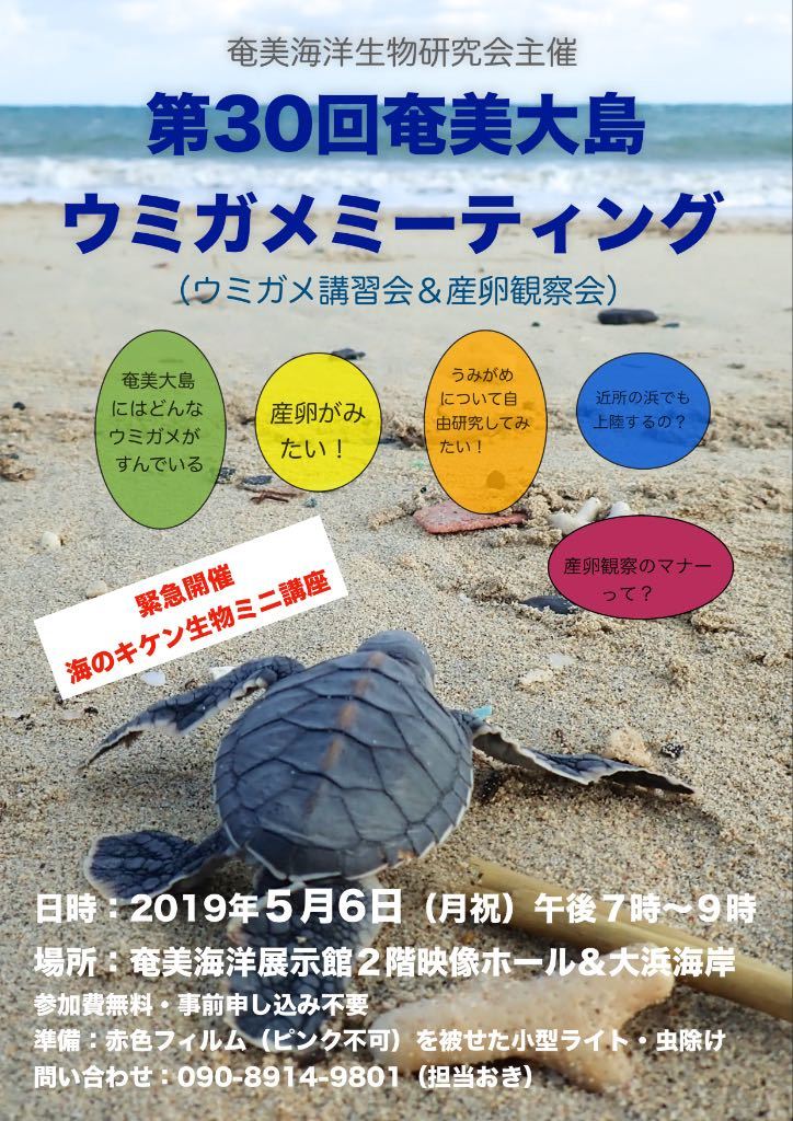 5/6 ウミガメミーティング開催!_a0010095_09452440.jpg
