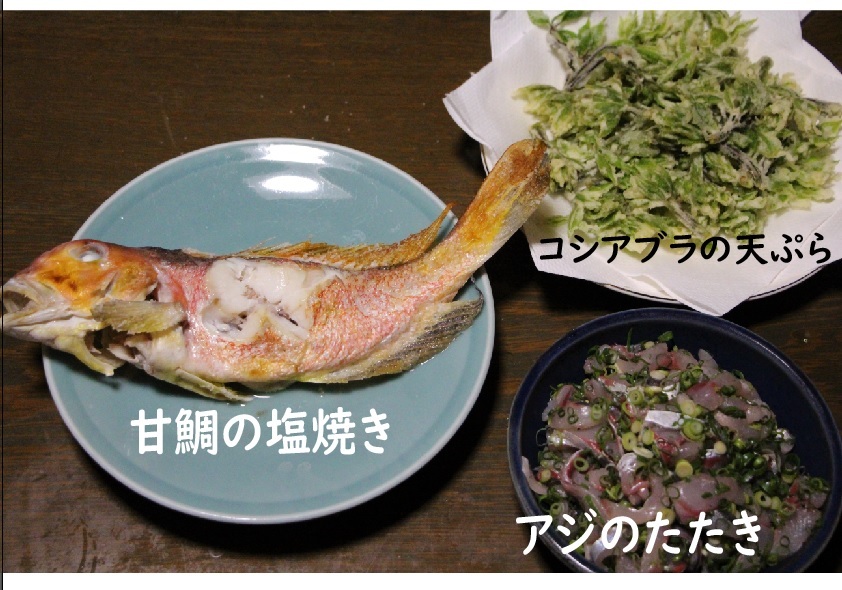 おいしい魚料理_a0333195_07591131.jpg